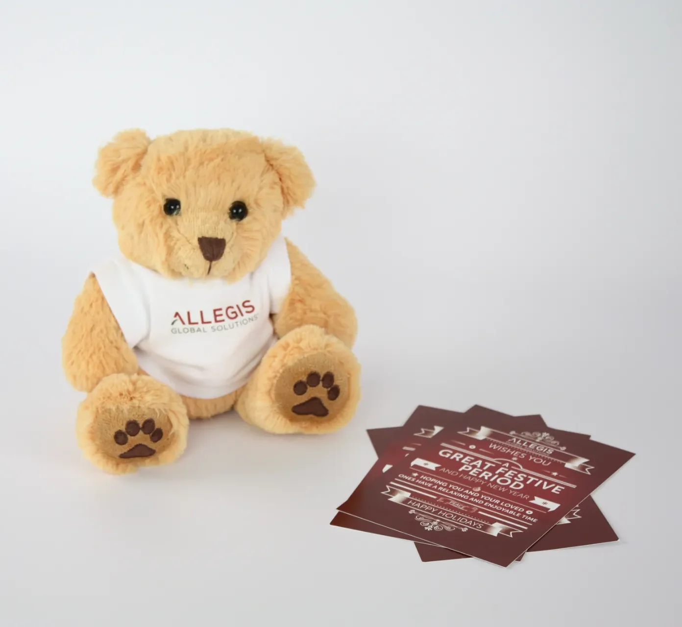 Allegis teddy